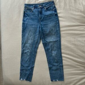 Mom Jeans | American Eagle | Blue | 4